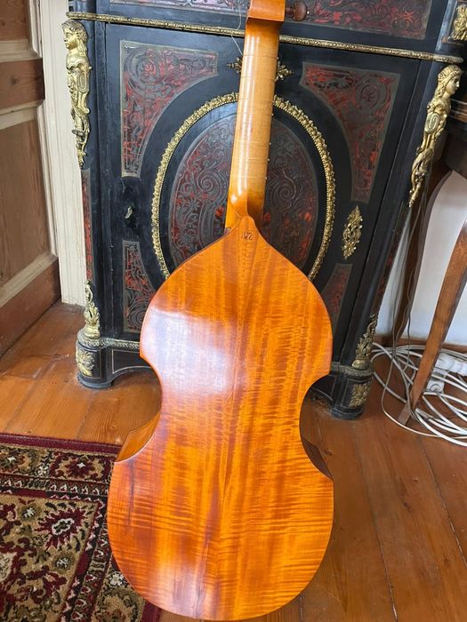 Viola da gamba , un instrument deosebit