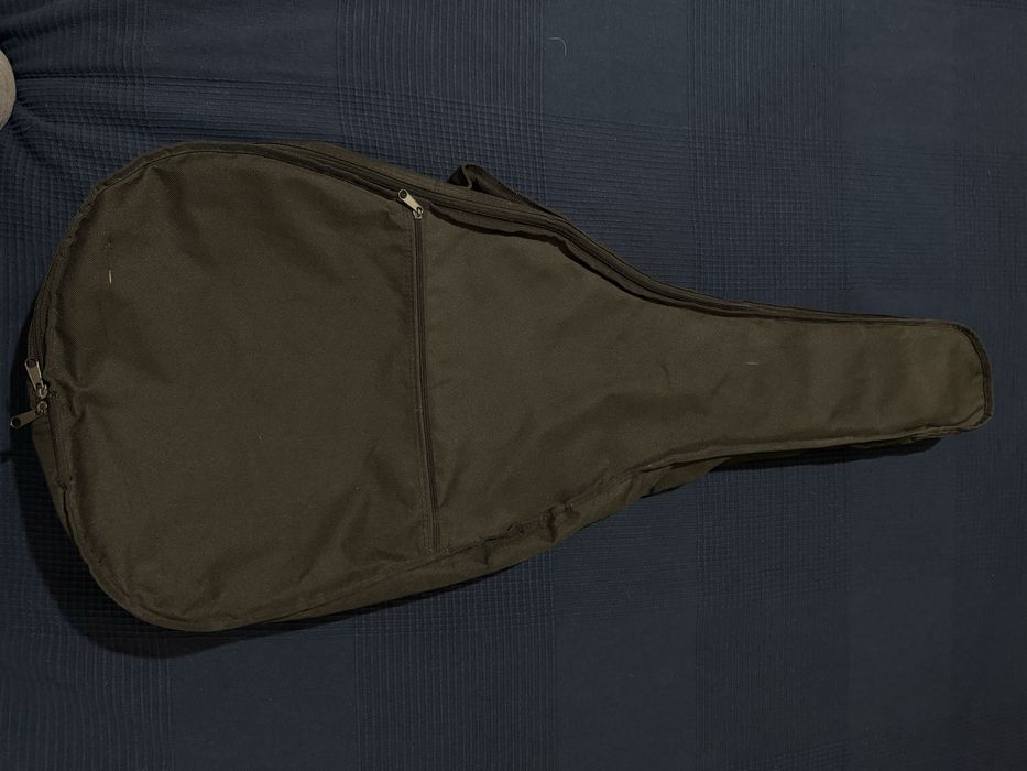 Chitara Hora reghin 4/4