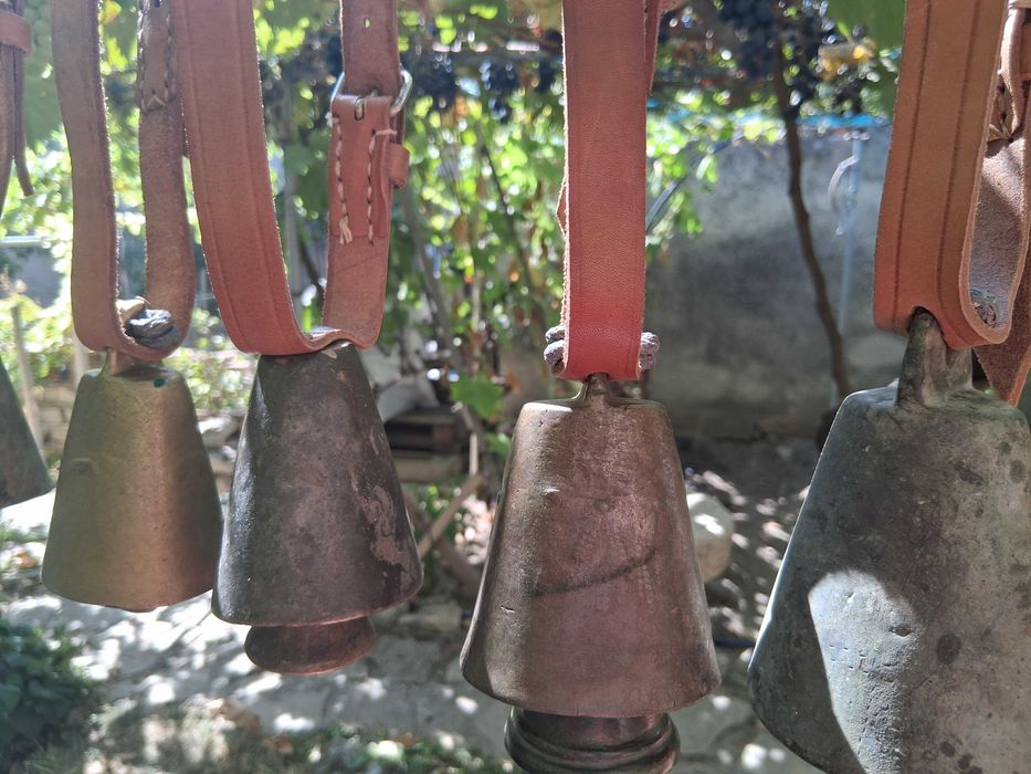 Звънци, Чан, Чанове