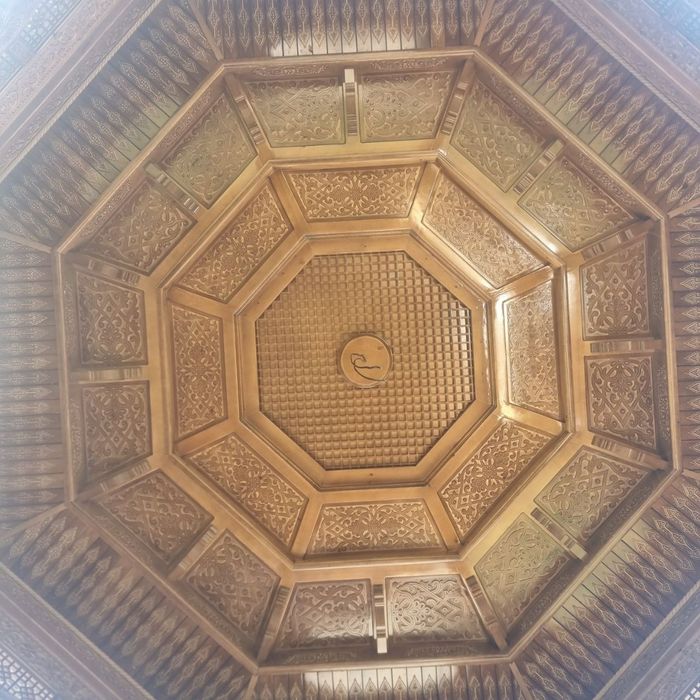 Shipon bisetka tapchan