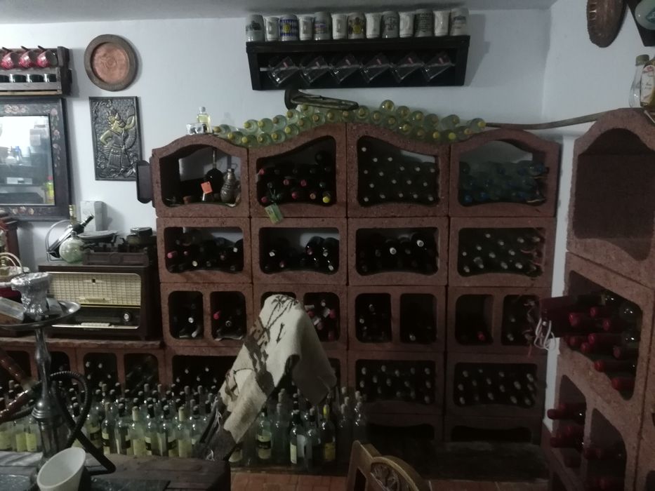 Șemineu pentru interior și vinoteca
