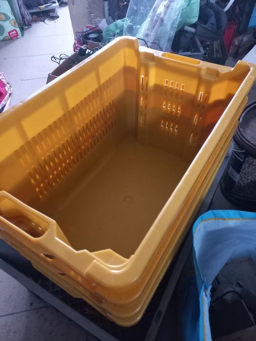 Lăzi plastic robuste