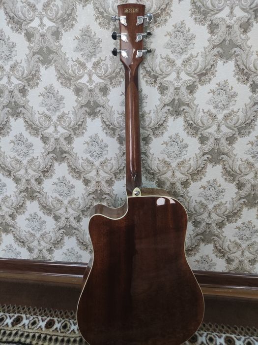 Akustik Gitara ibanez