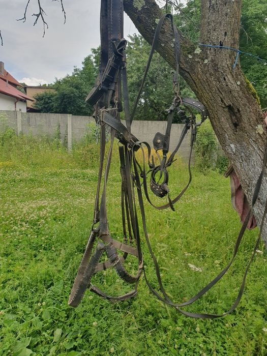 Vând căruță și ham