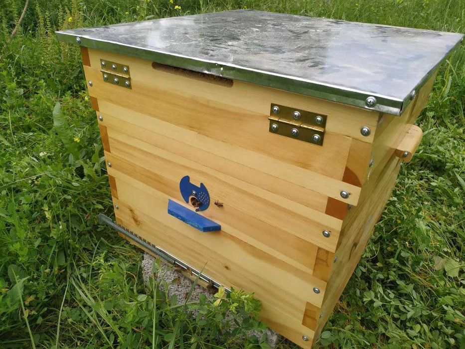 Асалари уяси ва ариси билан сотилади