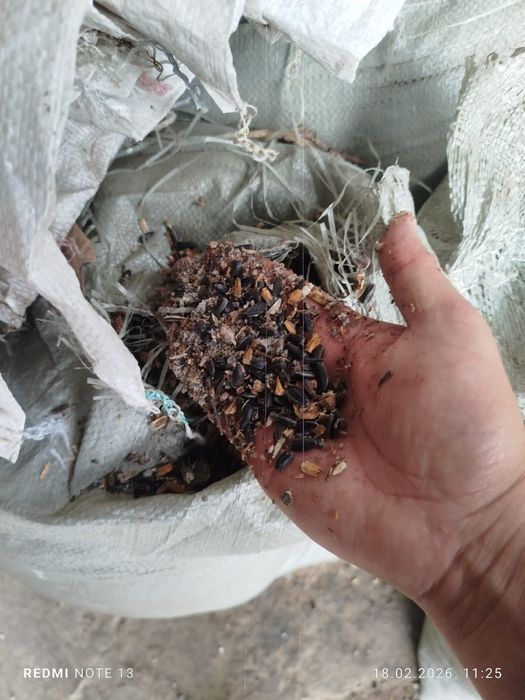 Продам семечки зерноотход