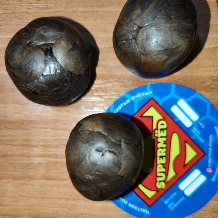 ПРОПОЛИС свежайший, ВЕСНА 2026