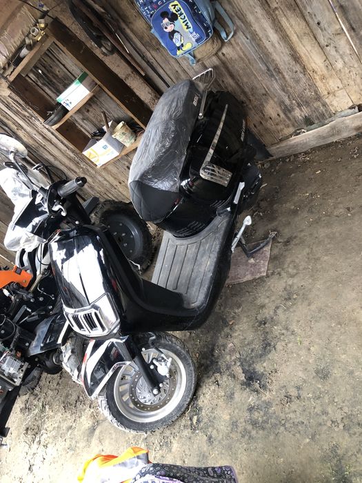 Scuter fara permis