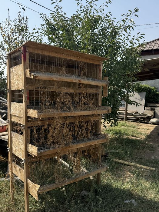 Загон для перепёлок