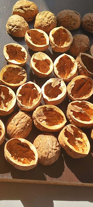 Черупка от едър орех за Handmade декорации