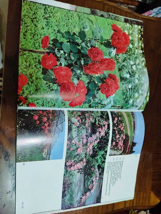 Букинистическая книга Розарий главного Ботан.сада Академии наук СССР.