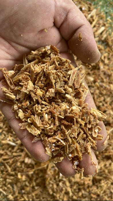 Propolis albine stare bruta