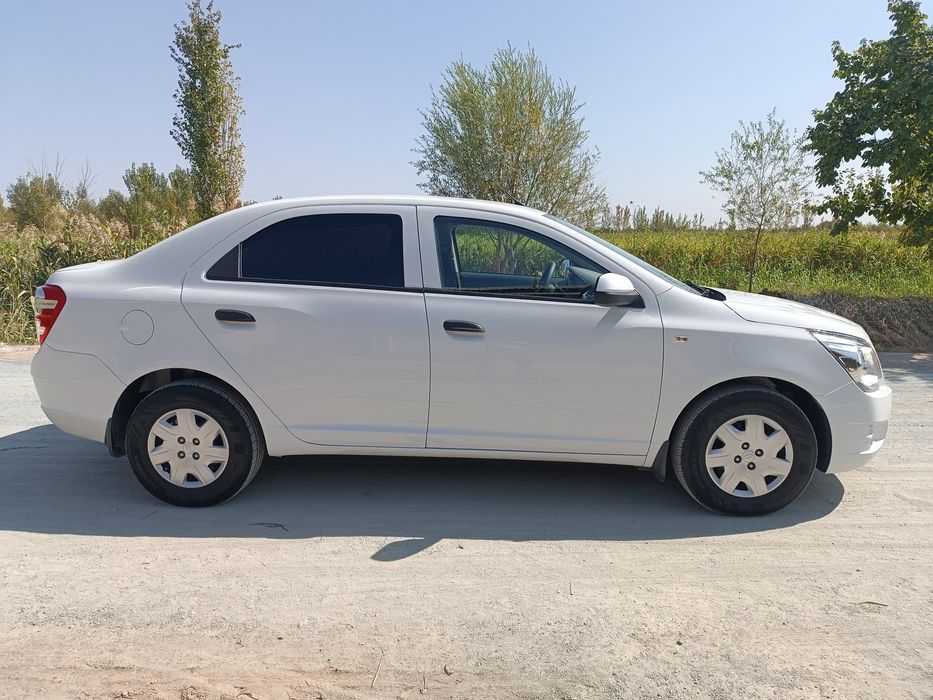 2019 йил 2-пазитция