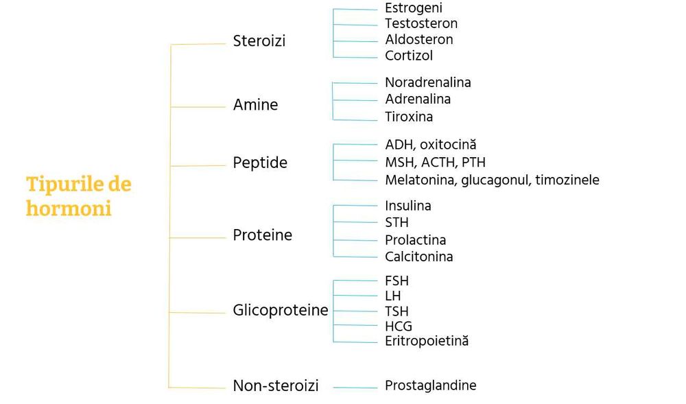 Meditatii Biologie-Admitere medicina/BAC biologie 11-12