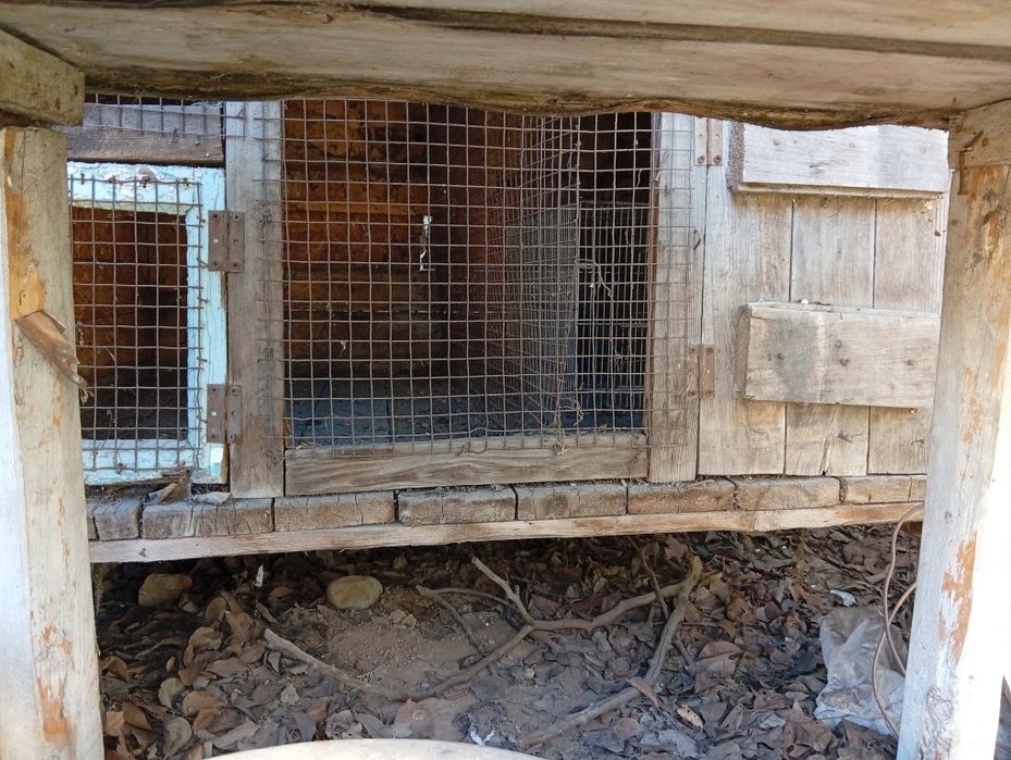 Клетки для кроликов