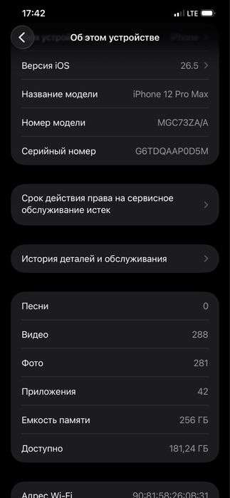 12 pro max 256 gb