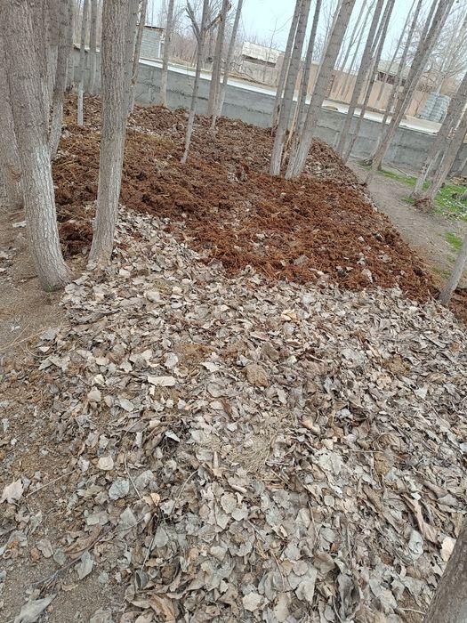 Kaliforniya chuvalchanglari kilogramga va kvadratga