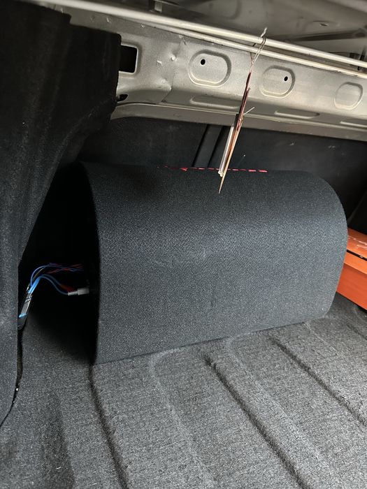 Sambufer kalonka usiliter