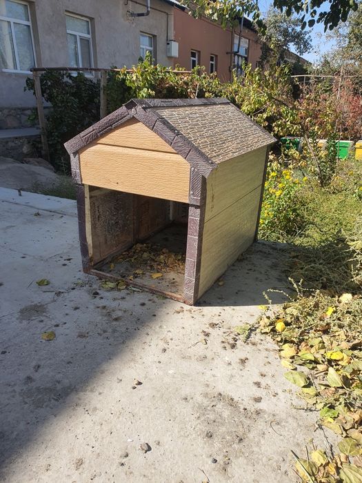 Кучук уйчаси сотилади.