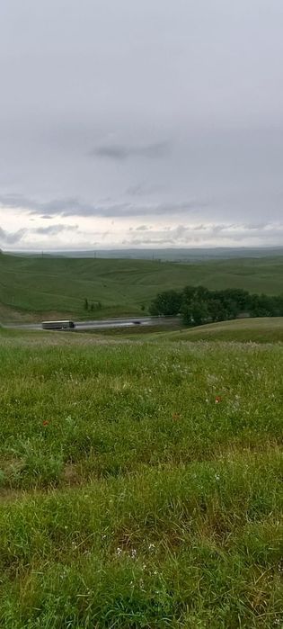 Земля 12 га в узынагаш