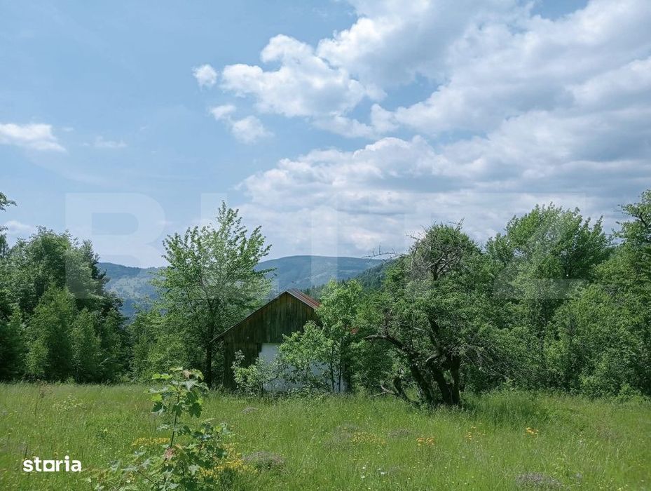 Teren intravilan de vanzare, 12000mp, Trancesti, Scarisoara
