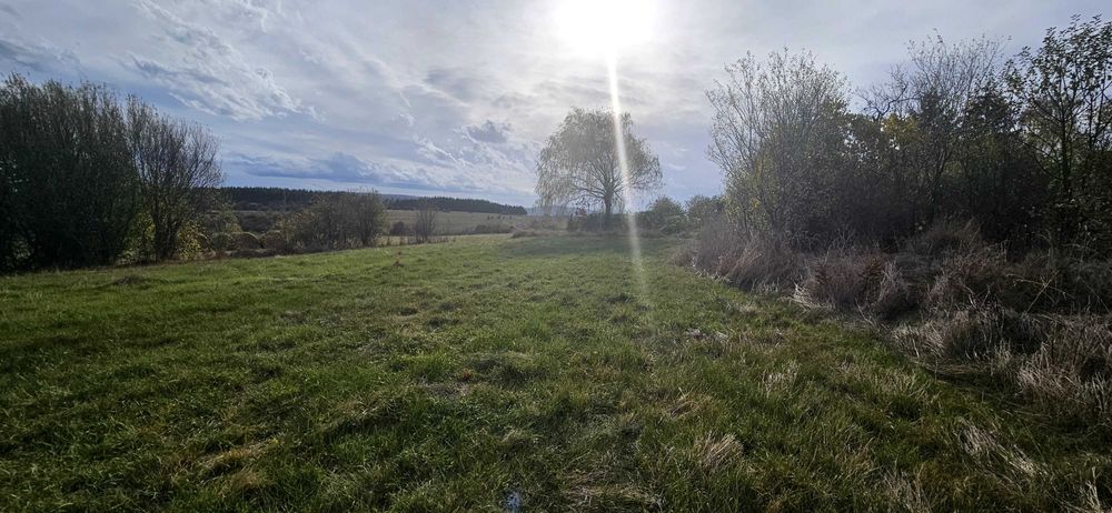 Продава се Парцел в Годеч - 1000 кв.м за 24 €/кв.м - Снимка #3