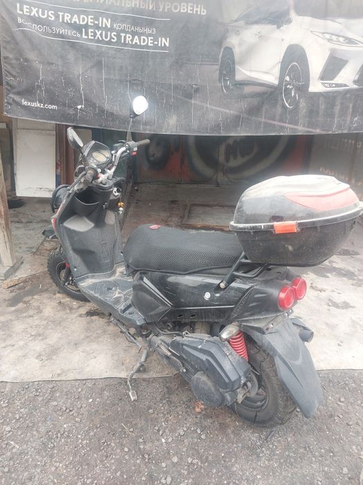 Прлдам Скутер бумер