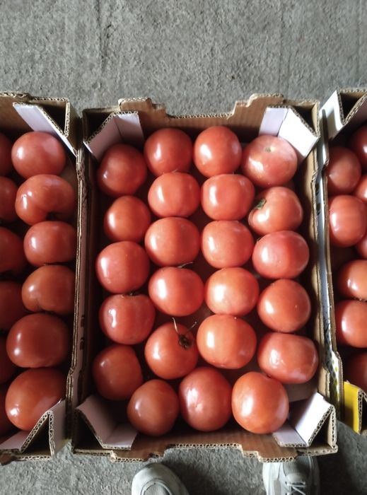 зеленчуци и плодове