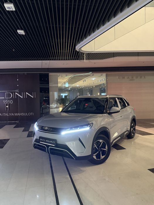 Byd yuan up 2026 хамма ранглари