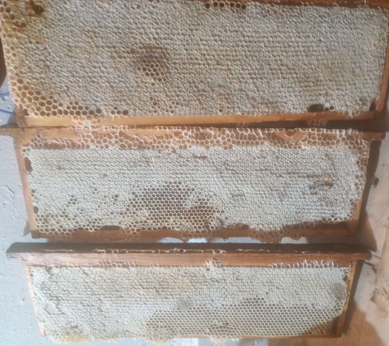 Продам мёд с разнотравья.Прополис.Воск.