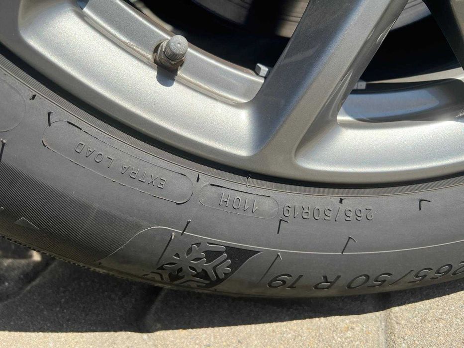 Roti Iarna 19 inch BMW X5 G05 X6 G06 Michelin 265/50 R19 Runflat