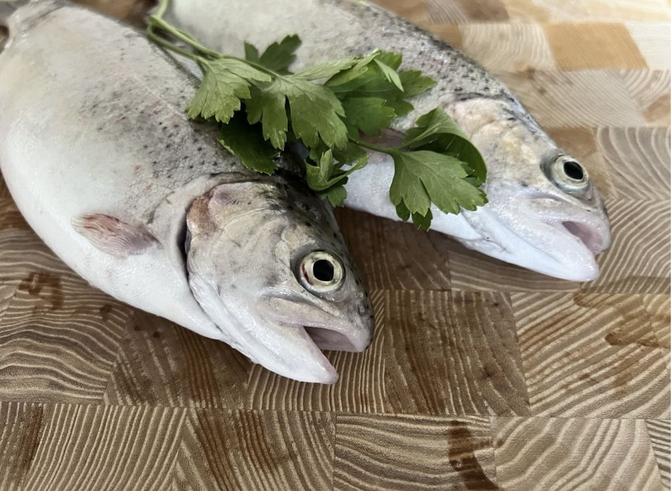 Живая Форель Алматы