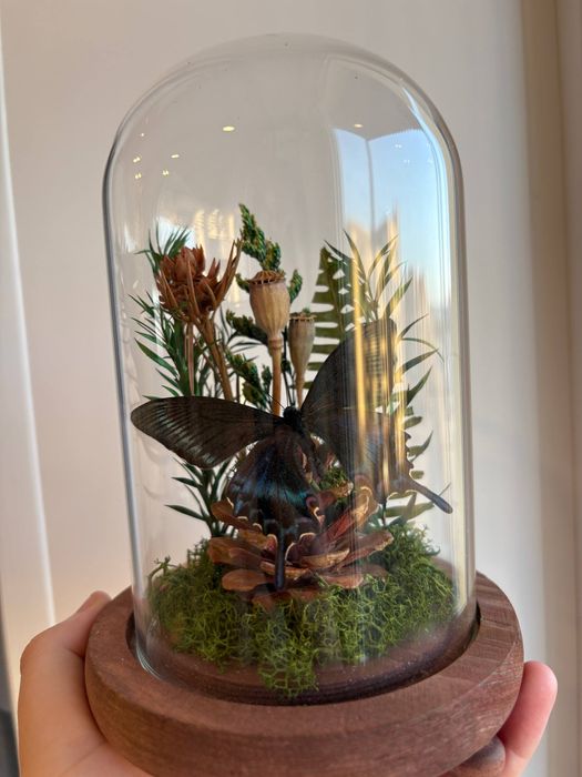 бабочка в колбе ручная работа