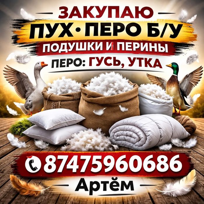 Пух-перо, Гуся и утки!