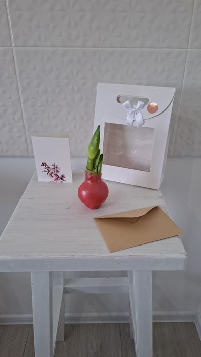 Луковицы амариллиса в воске