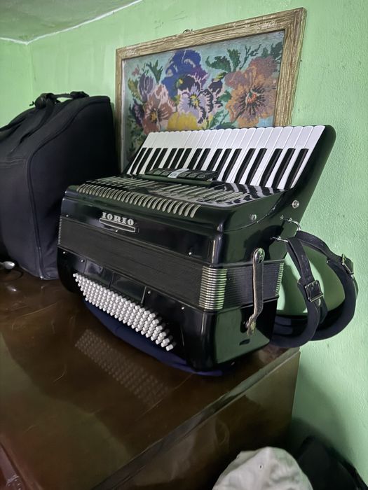 Acordeon parot ioio