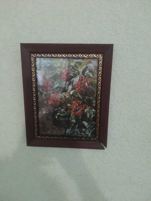 Продам картины для интерьера