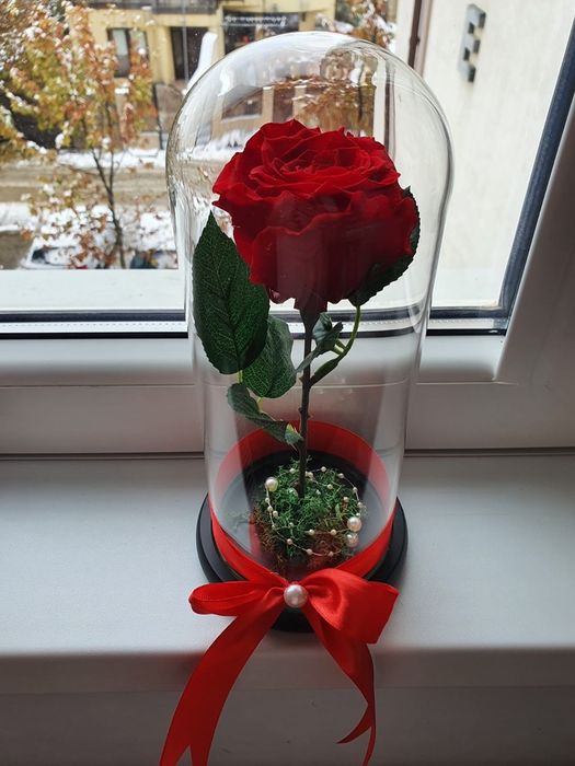 Cupola cu trandafir rosu criogenat