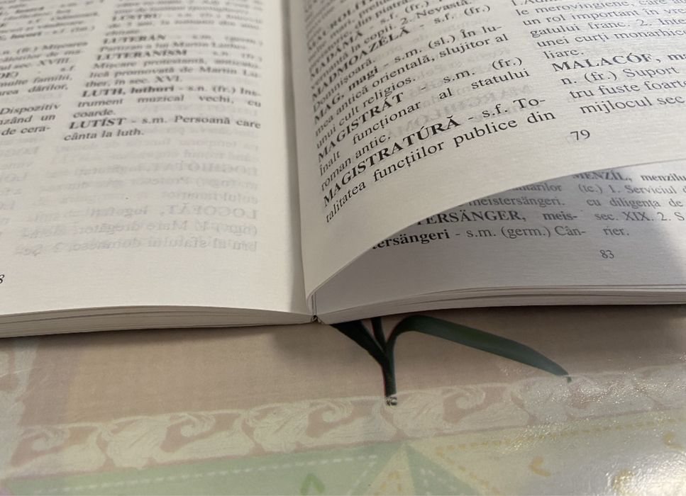 Veronica Leoveanu-Dictionar de arhaisme si notiuni istorice