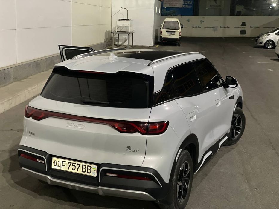Byd Yuan Up 2024