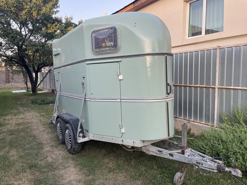 Аренда коневозки