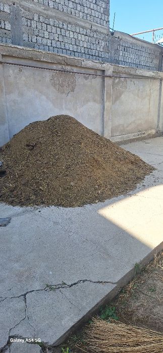 Гонг бор.кой гонги.майин.