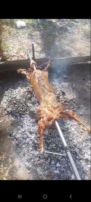 Чевермета, скари, барбекюта