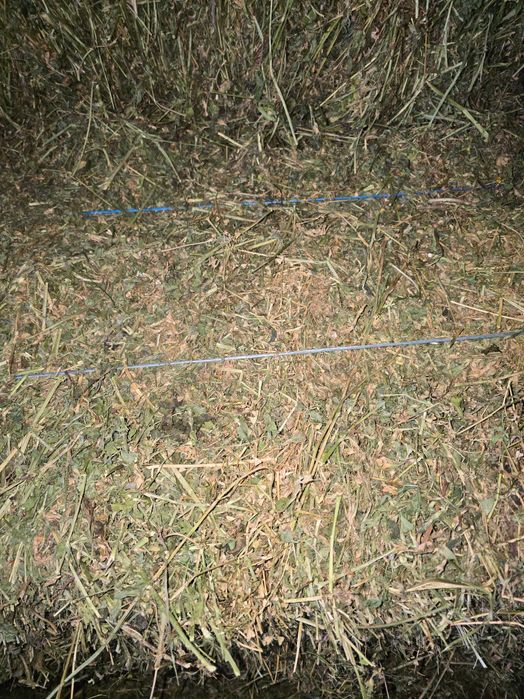 Baloți de lucernă/ Paie