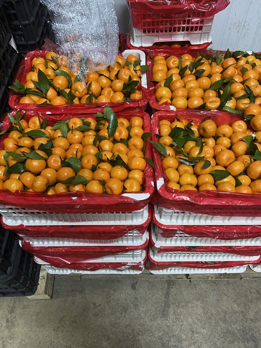 Доставка овощей и фрукты