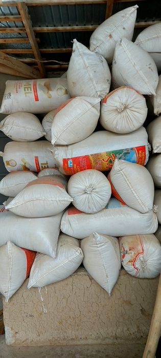 Опилки сухие из дерева.