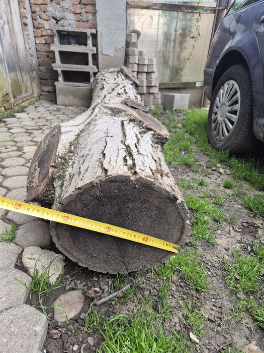 Vând lemn de nuc calitate superioară