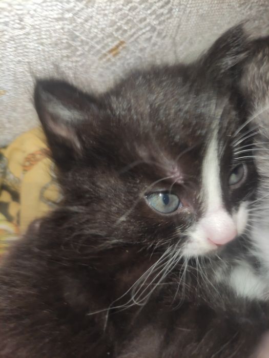 Суммая 24 24 в Самаре