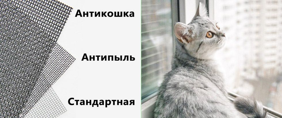 Москитные сетки Антикошка