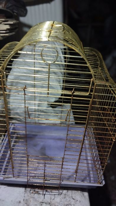 Клетка для птиц 40на50